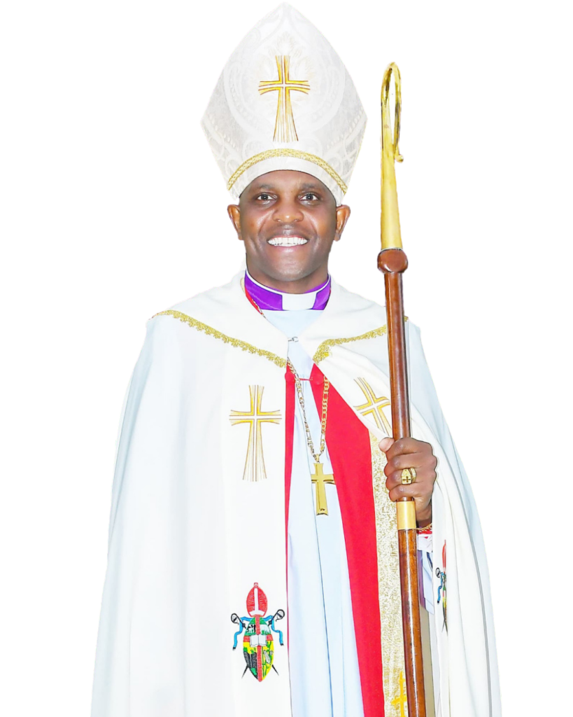 Untitled design (11)