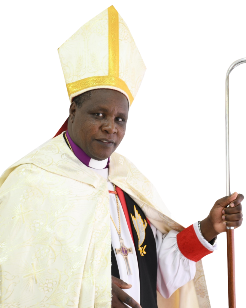 Untitled design (13)